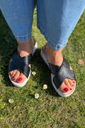 Tulip1465Re | Schwarz